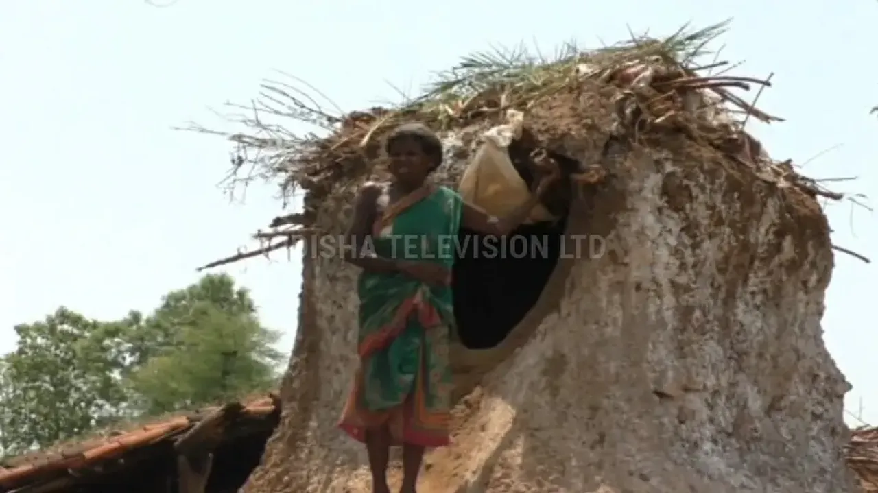 Septuagenarian woman lives in ‘termite mound’ for years