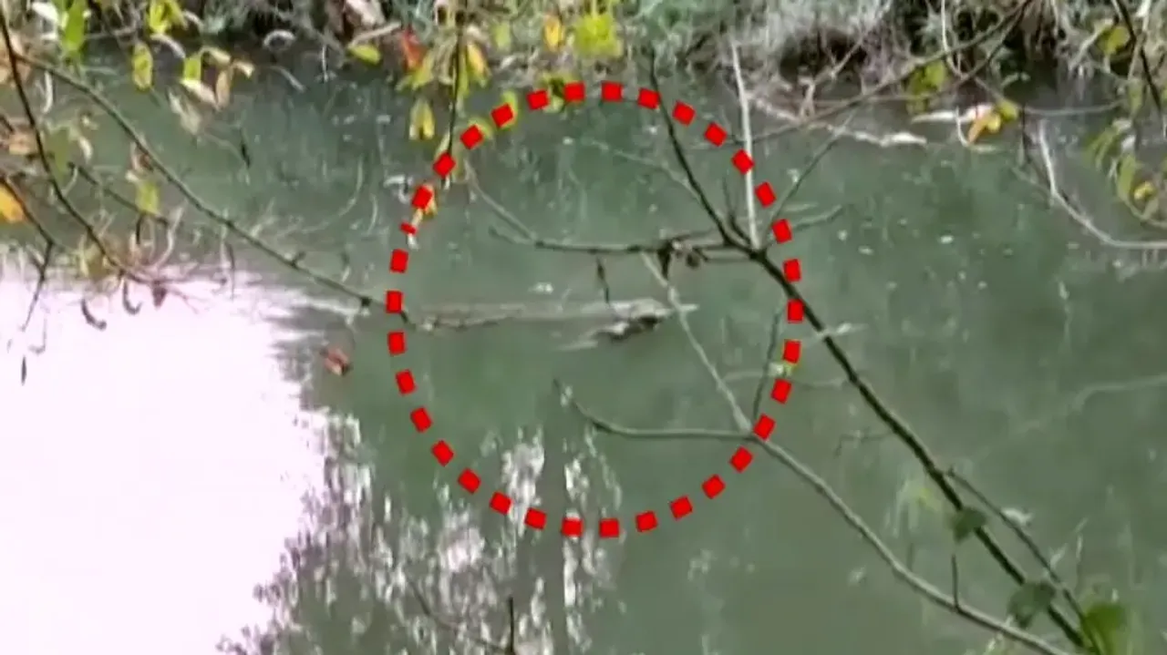 Croc fear: These Jajpur villagers are between the 'Devil' and the deep blue sea 