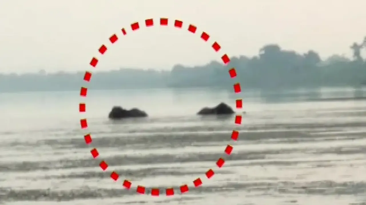 Two jumbos stuck in Mahanadi river, rescue operation on