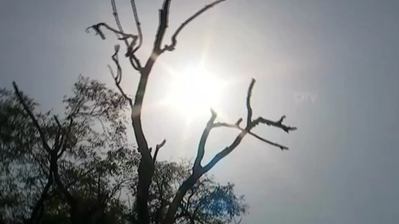 Maximum Temperature To Rise In Odisha