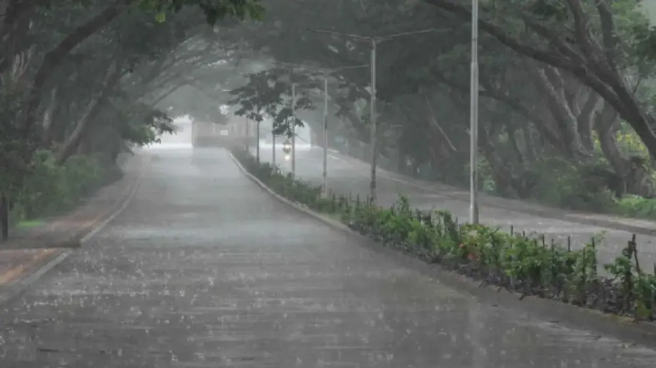 Heavy Rainfall Alert 