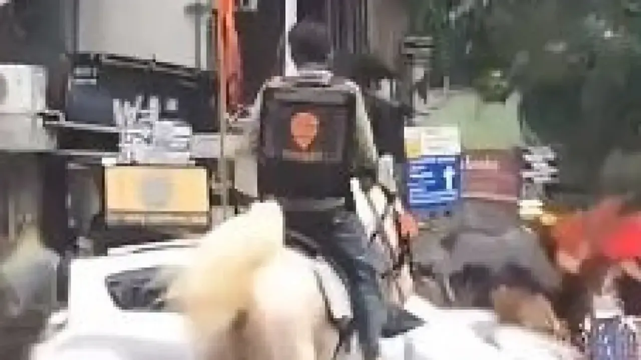 Swiggy looking for unknown delivery man riding horse who went viral