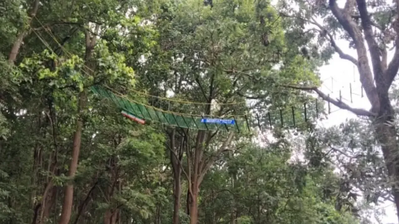 Canopy bridge comes up for monkeys, tree animals in Odisha's Bonai