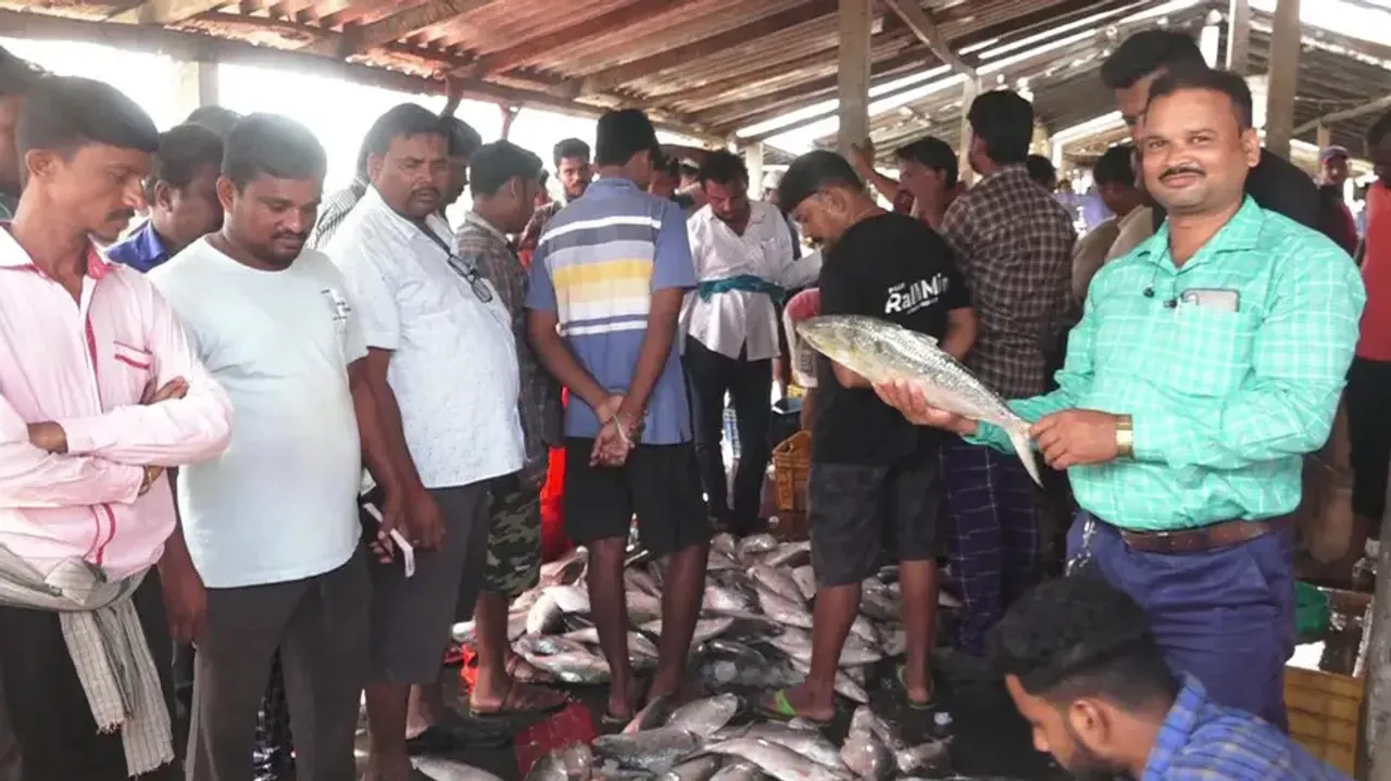 Bhadrak fishermen netting tons of Hilsa but monsoon delicacy beyond common man's reach