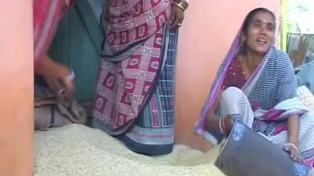 Woman collecting rice 
