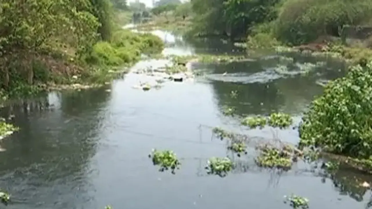 Gobari river