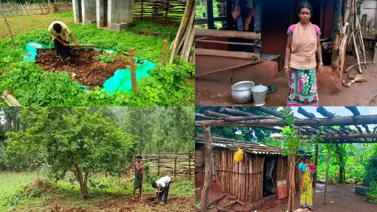 Odisha tribals take fight against malnutrition to their backyards
