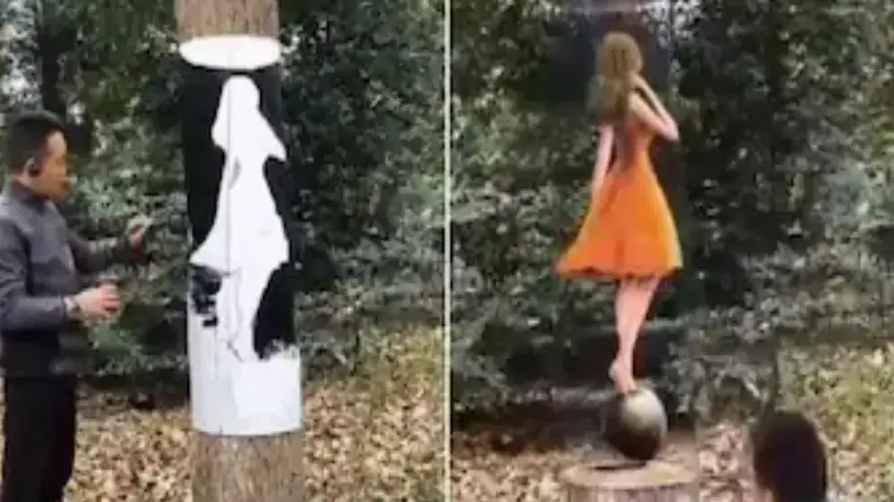 Artist creates optical illusion with 3D painting on tree trunk
