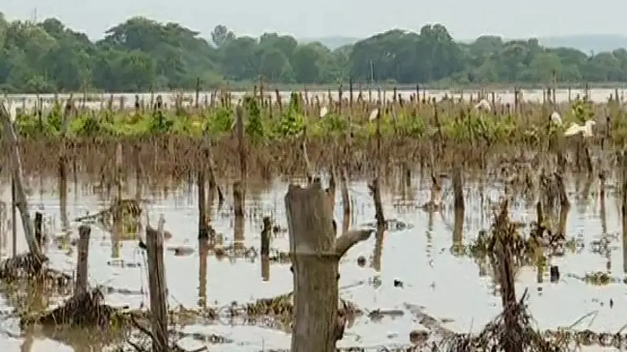 Farmers incur heavy loss as floodwater inundates farmlands; Vegetable prices soar 