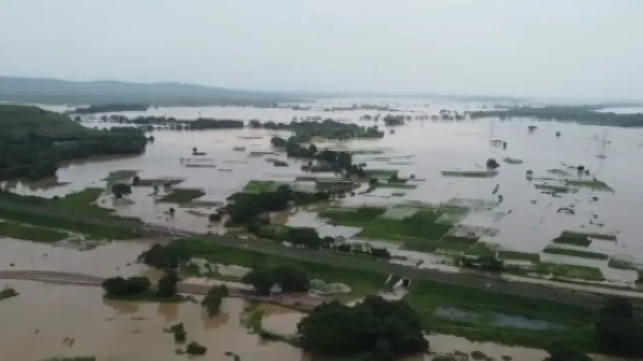 BJD should apologise to people for its failure in managing flood situation: BJP 
