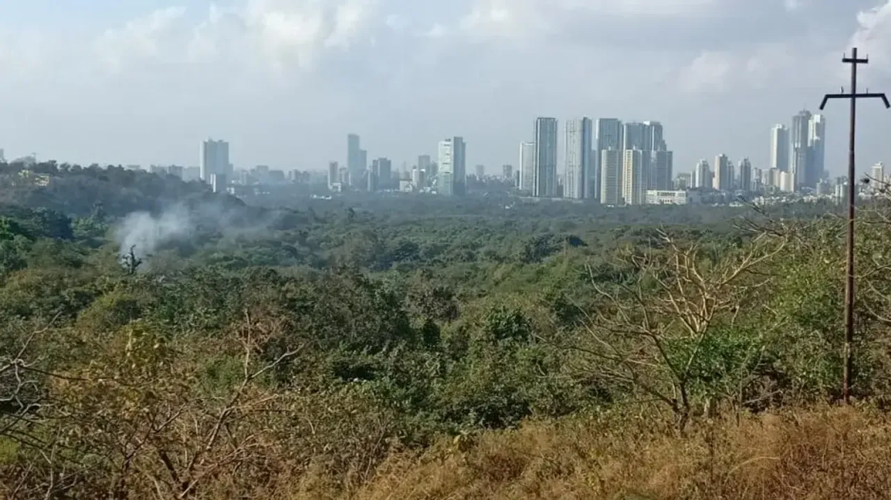 SC: Don't carry out any developmental work in Aarey forest