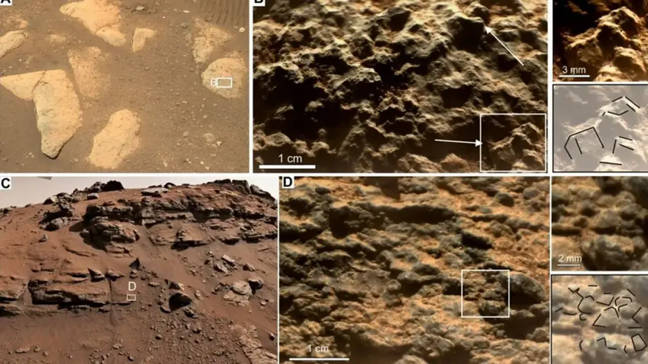 Mars Green Areas