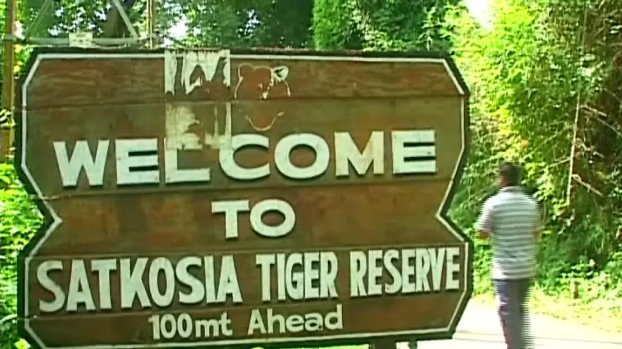 Interstate relocation: Is Odisha’s Satkosia ready to revive its tiger population?