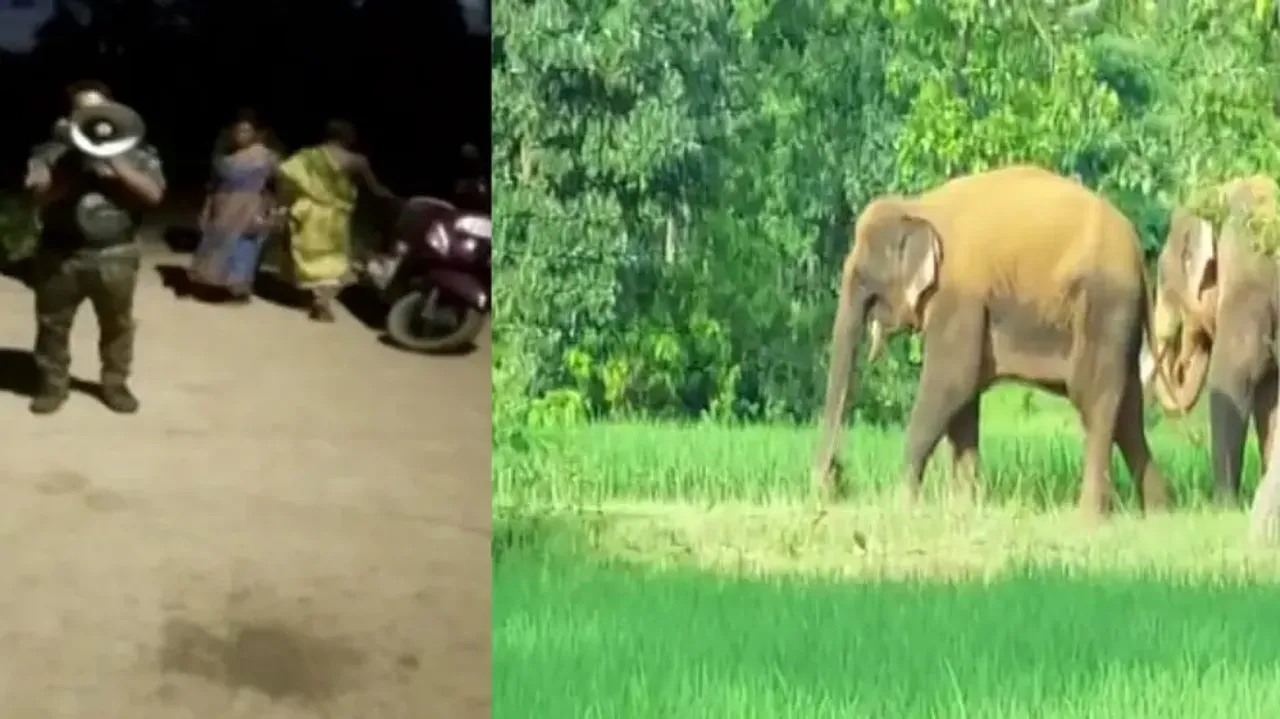 SMS-Alert On Elephant Movement