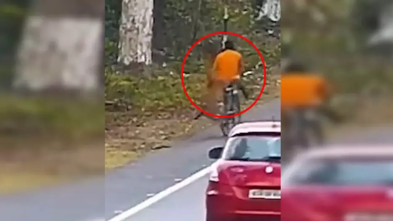 Leopard attacks cyclist