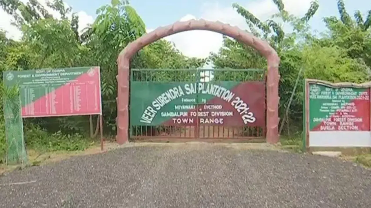  Dense forest in Sambalpur