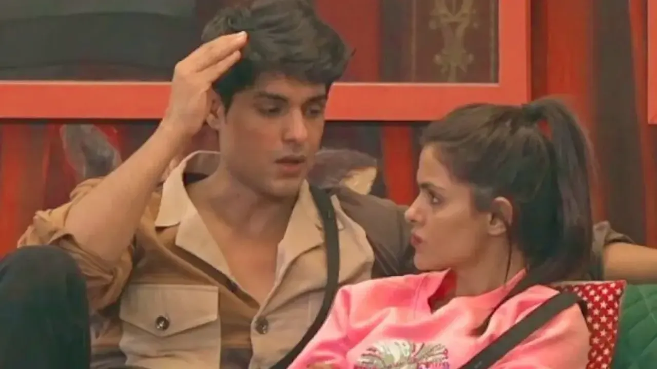 'Bigg Boss 16': Priyanka, Ankit get into heated argument, cracks in their bond