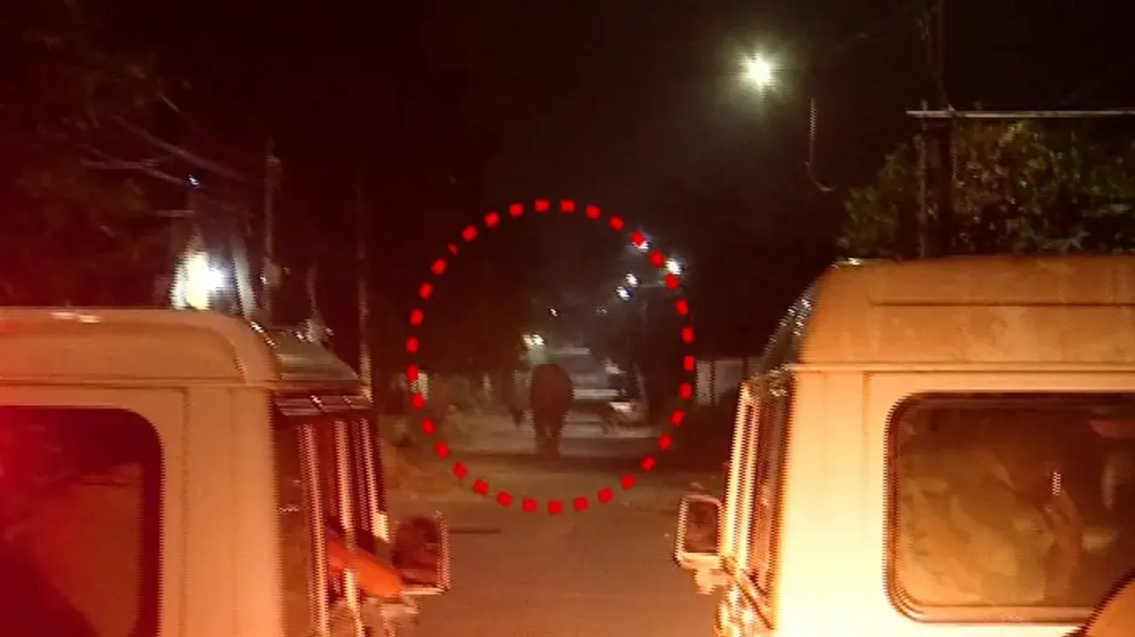 Tusker strays into Odisha capital after triggering panic in Pipili, tranquilised