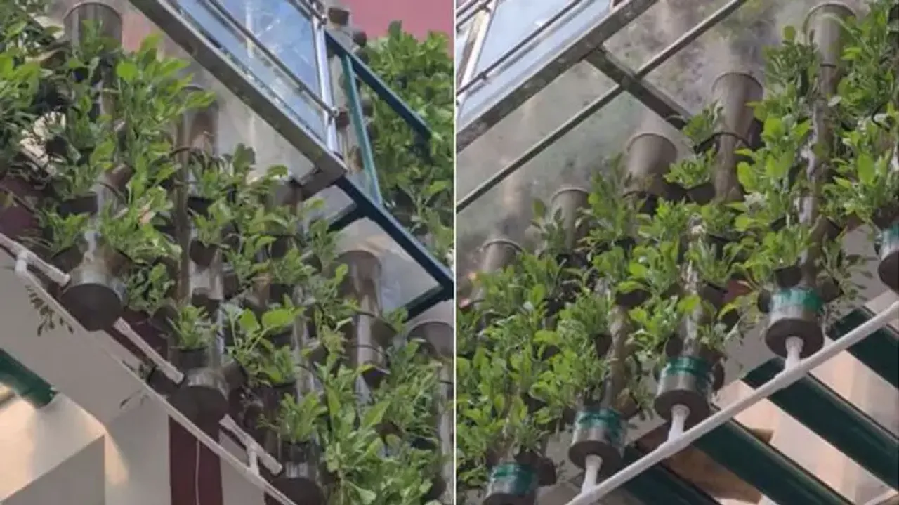 UP man earns Rs 70 lakh by growing vegetables without soil in 3-storey house, here’s the truth