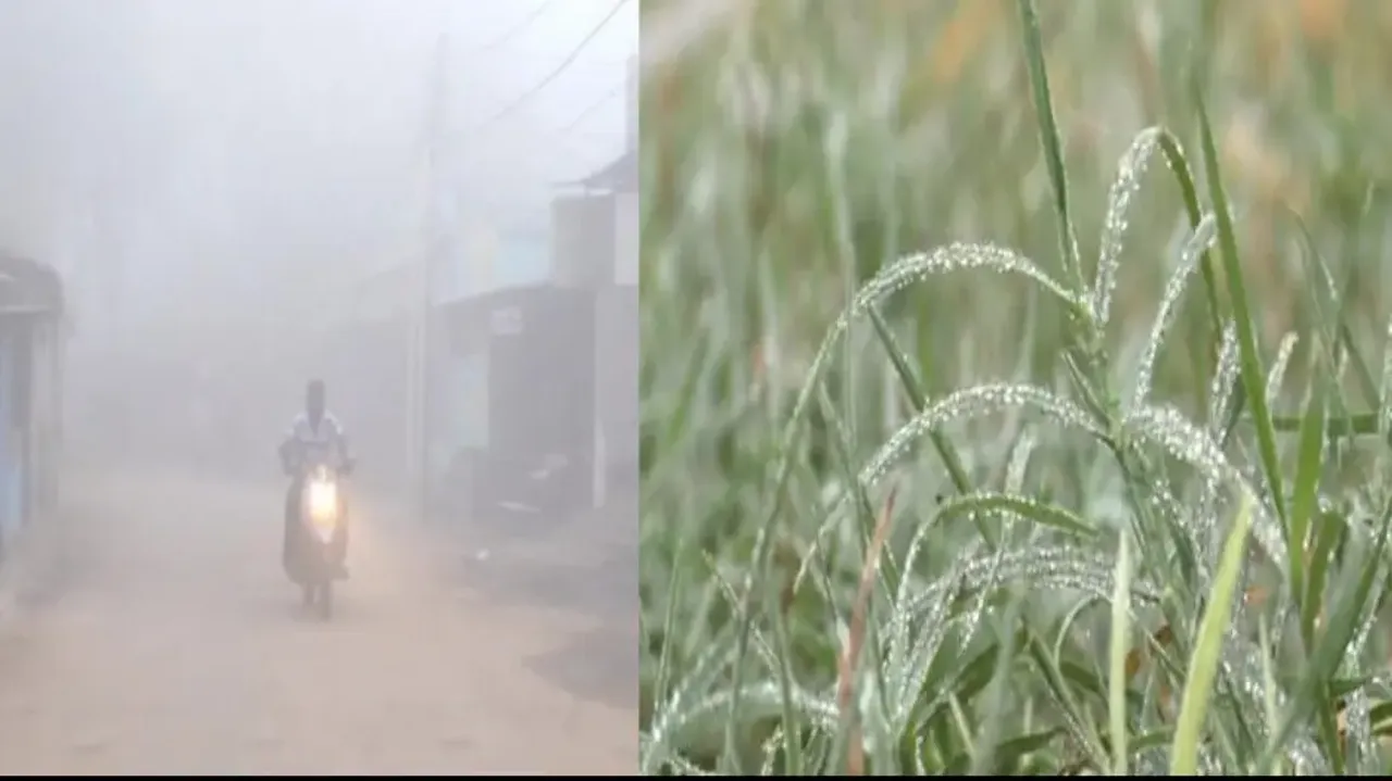 Cold Conditions In Odisha