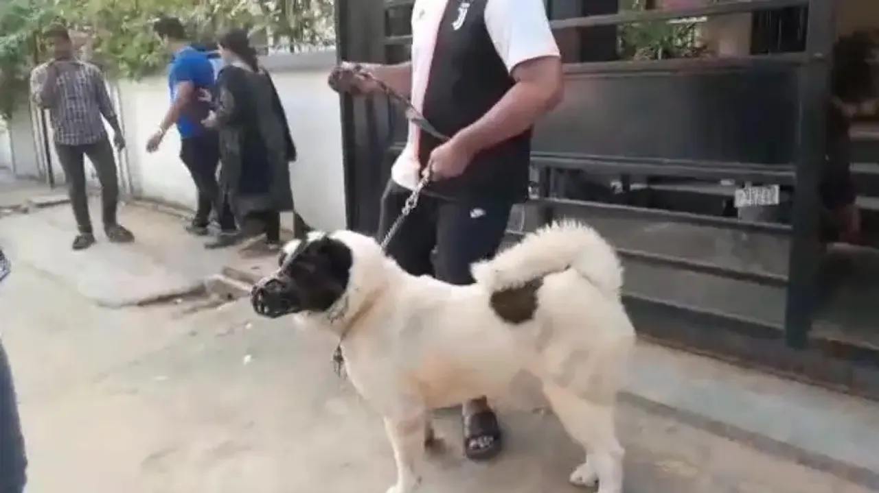 Bhubaneswar dog bite case reaches court, canine taken to care centre