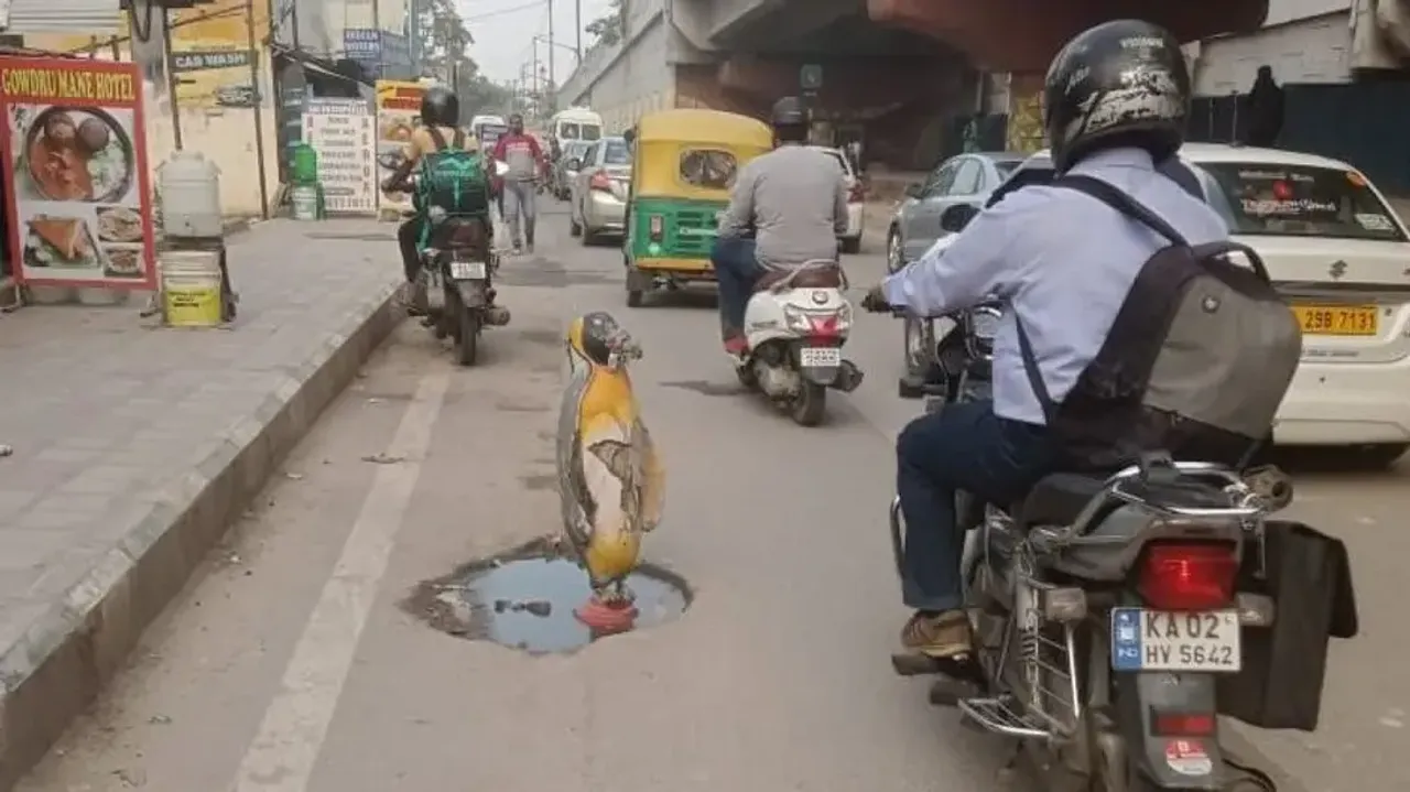 Penguin spotted swimming in Bengaluru pothole, netizens call it Statue of Potholes