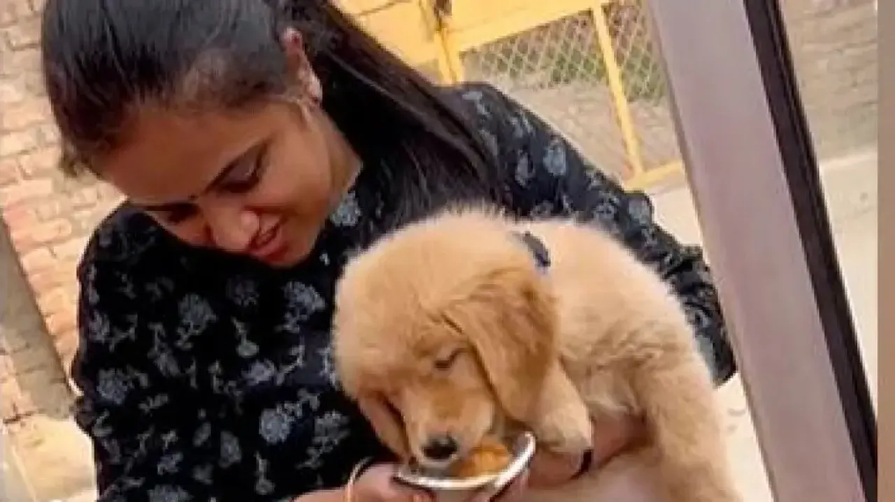 Watch: Video of woman feeding pet puppy ‘pani puri’ goes viral