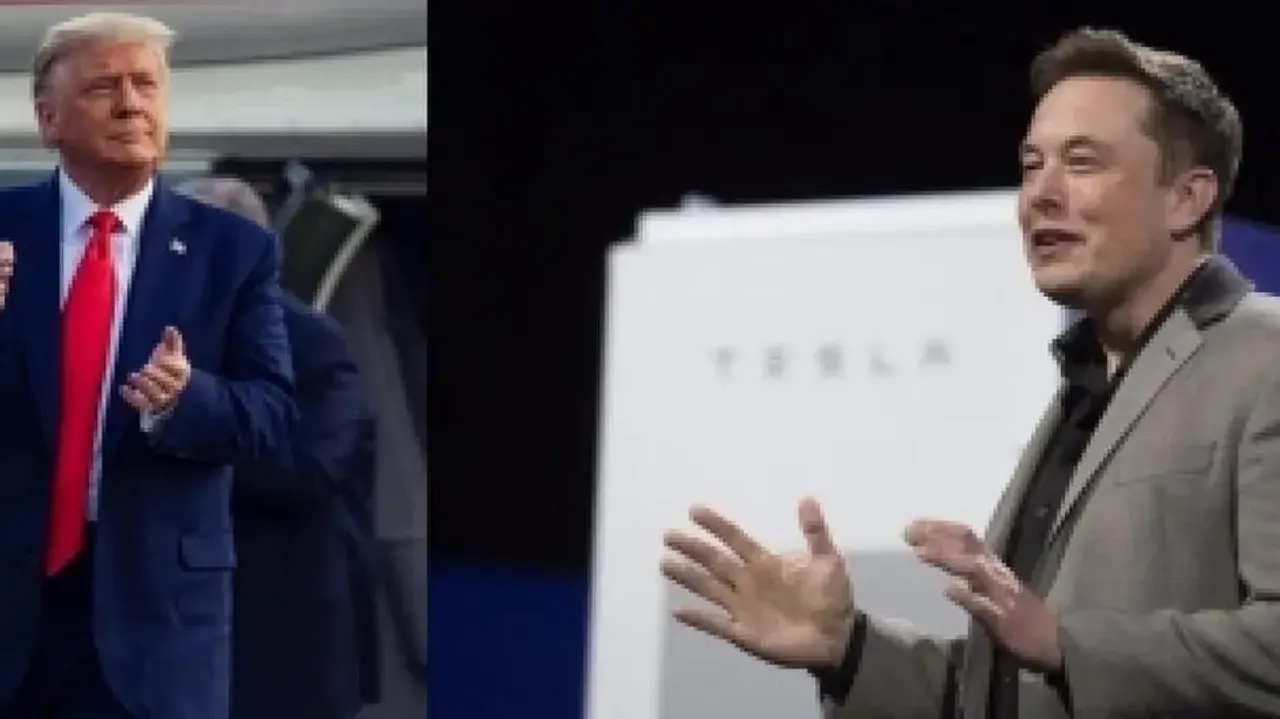 Elon Musk 'reinstates' Donald Trump on Twitter