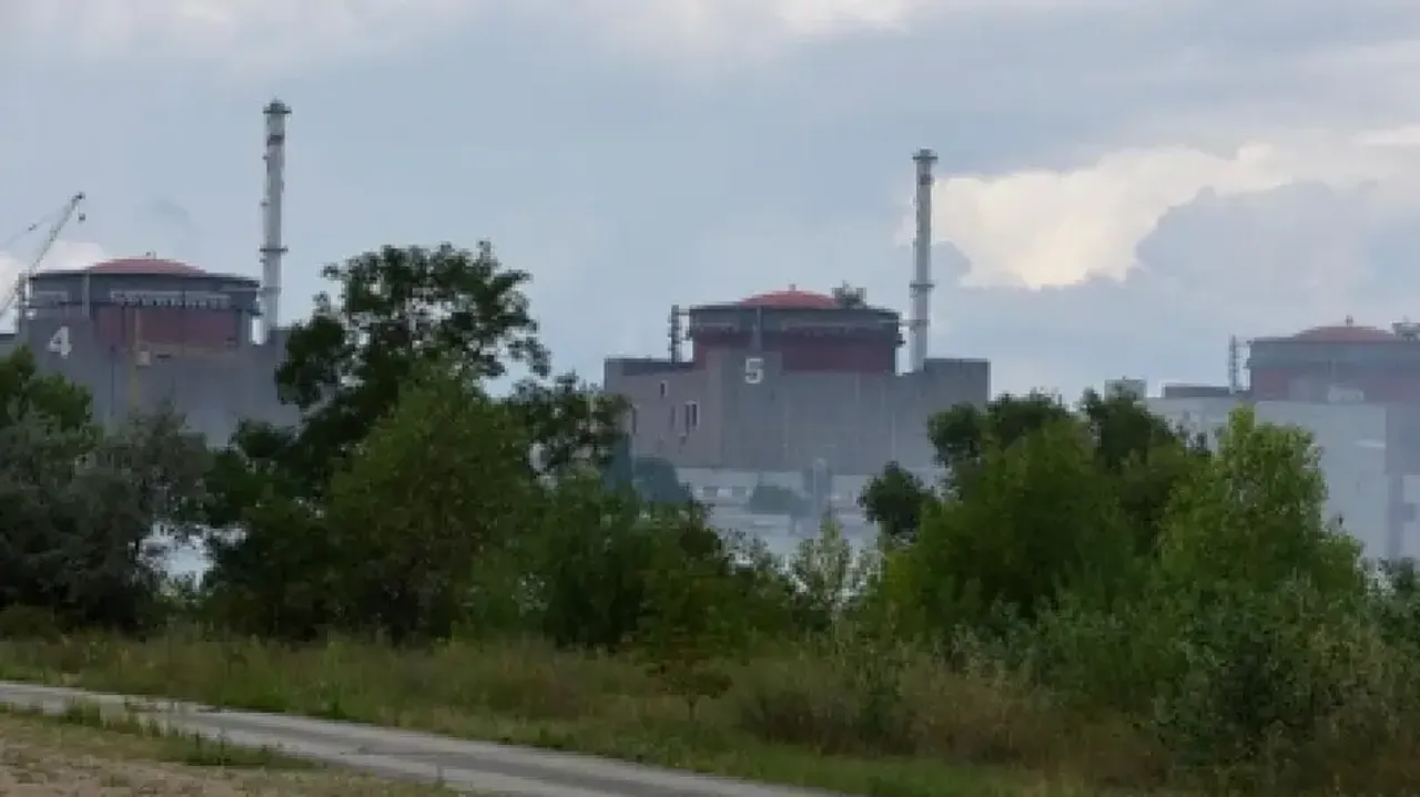 Explosions rock area of Zaporizhzhia nuclear plant: IAEA