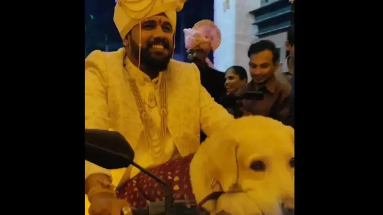 Groom makes grand entry with pet dog on wedding day, Watch adorable video