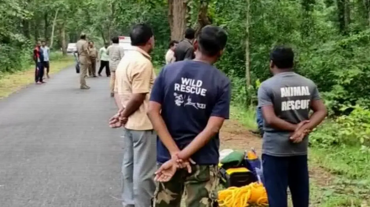 Ranger, two forest guards suspended over alleged tusker poaching in Odisha’s Similipal 