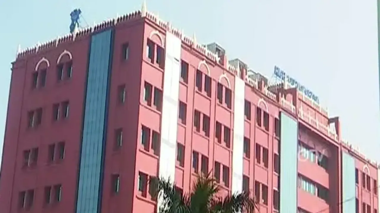 ‘Worst year for elephants in Odisha’: HC pulls up PCCF, JTF over jumbo poaching in Similipal