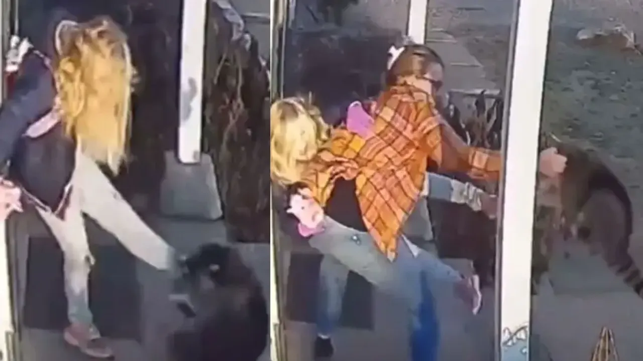 Moms are bravest! Watch how woman saves daughter from raccoon attack