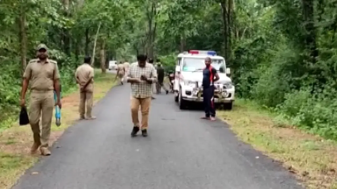 Chargesheet in Similipal elephant poaching witness death case soon: Forest dept to HC
