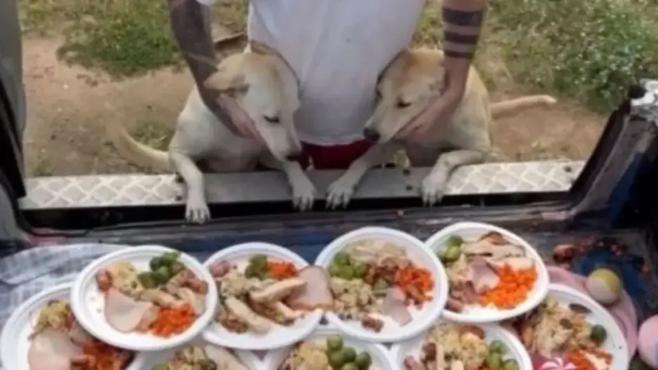 Real-life Santa Claus celebrates Christmas with street dogs, video will melt your heart