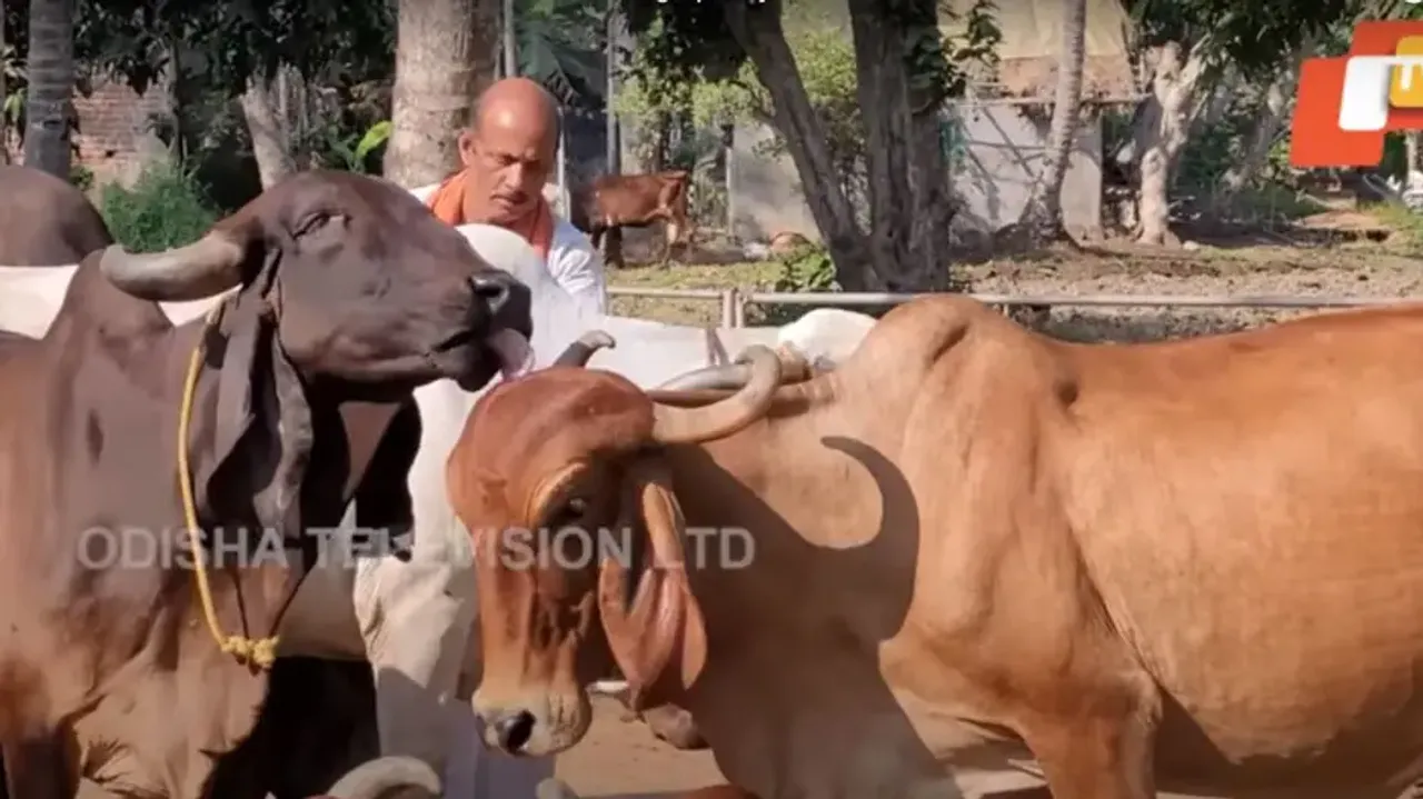 Sharada Nanda Mishra & His Cow-Shelter