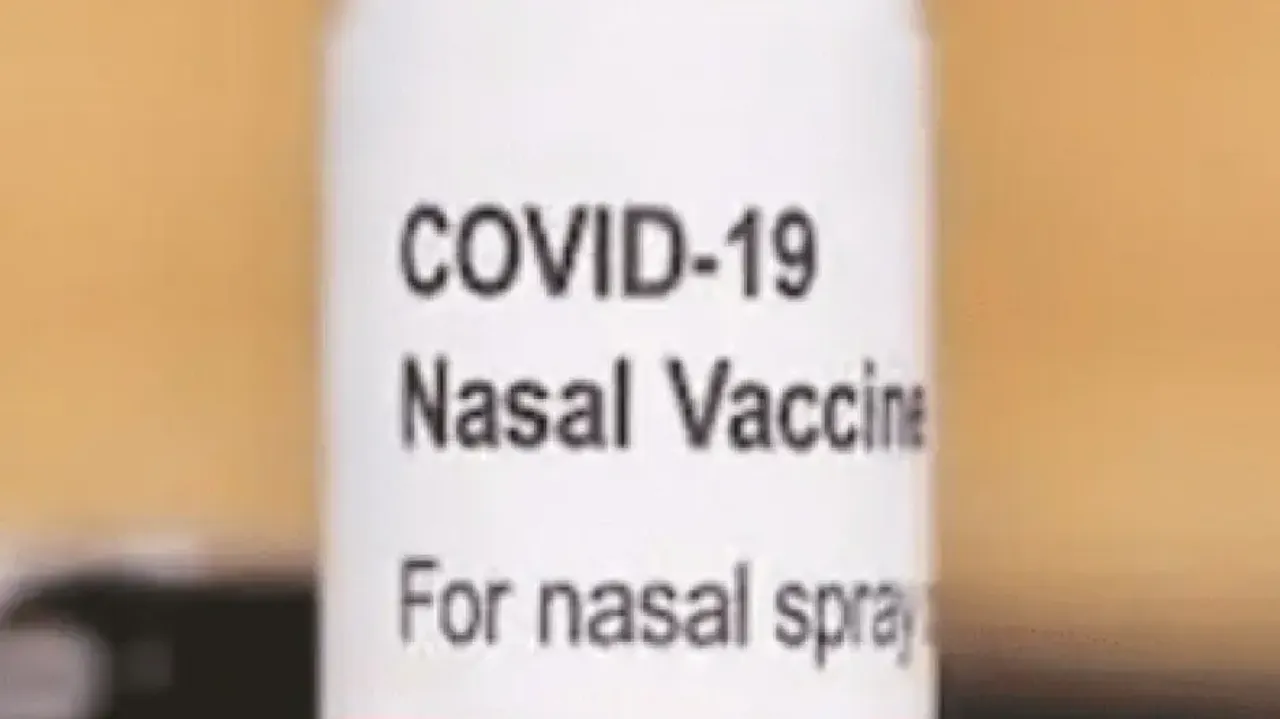 COVID intranasal Covid vaccine