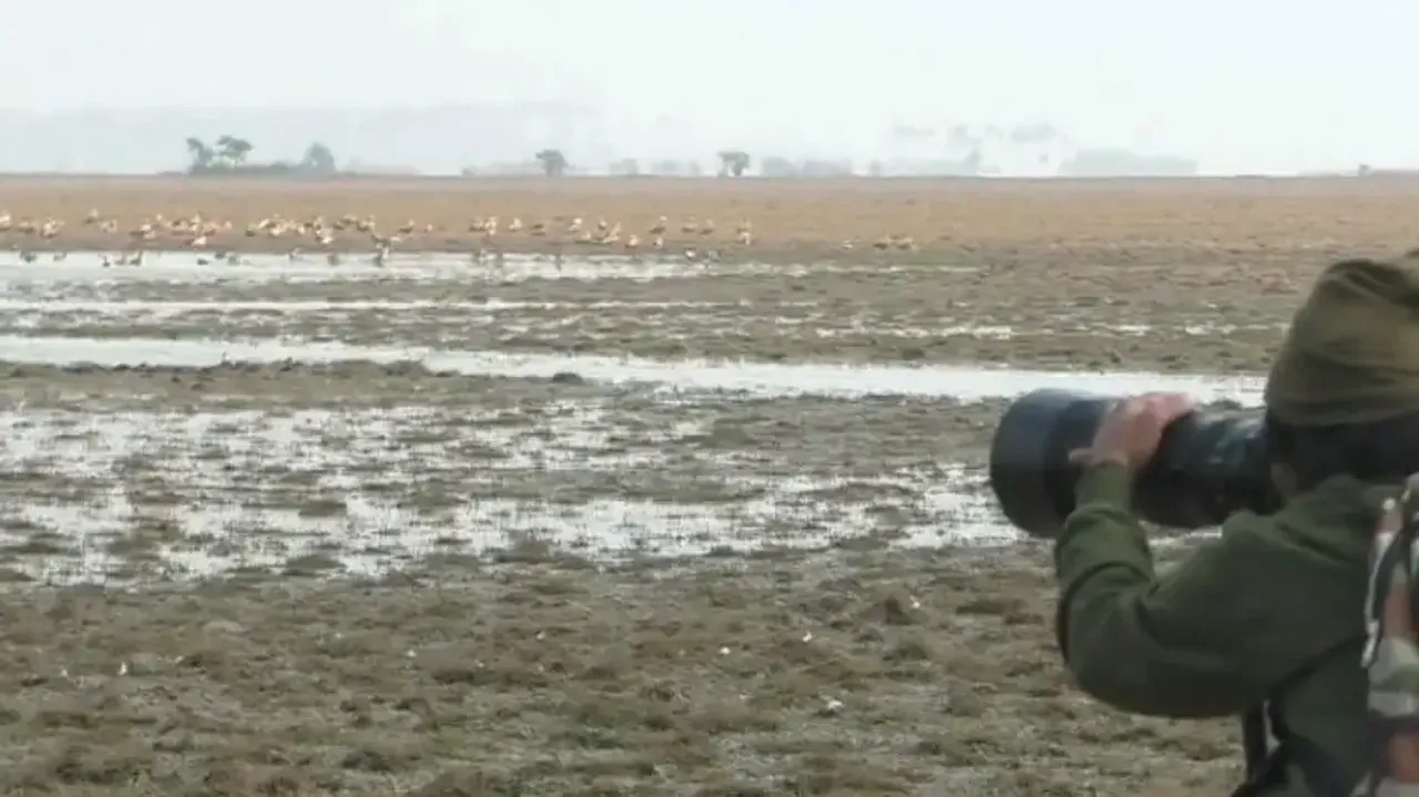 Annual bird census begins in Bhitarkanika National Park