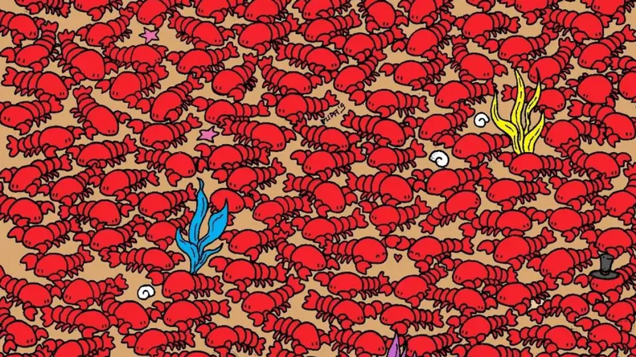 Find 4 crabs among the lobsters in 12 secs