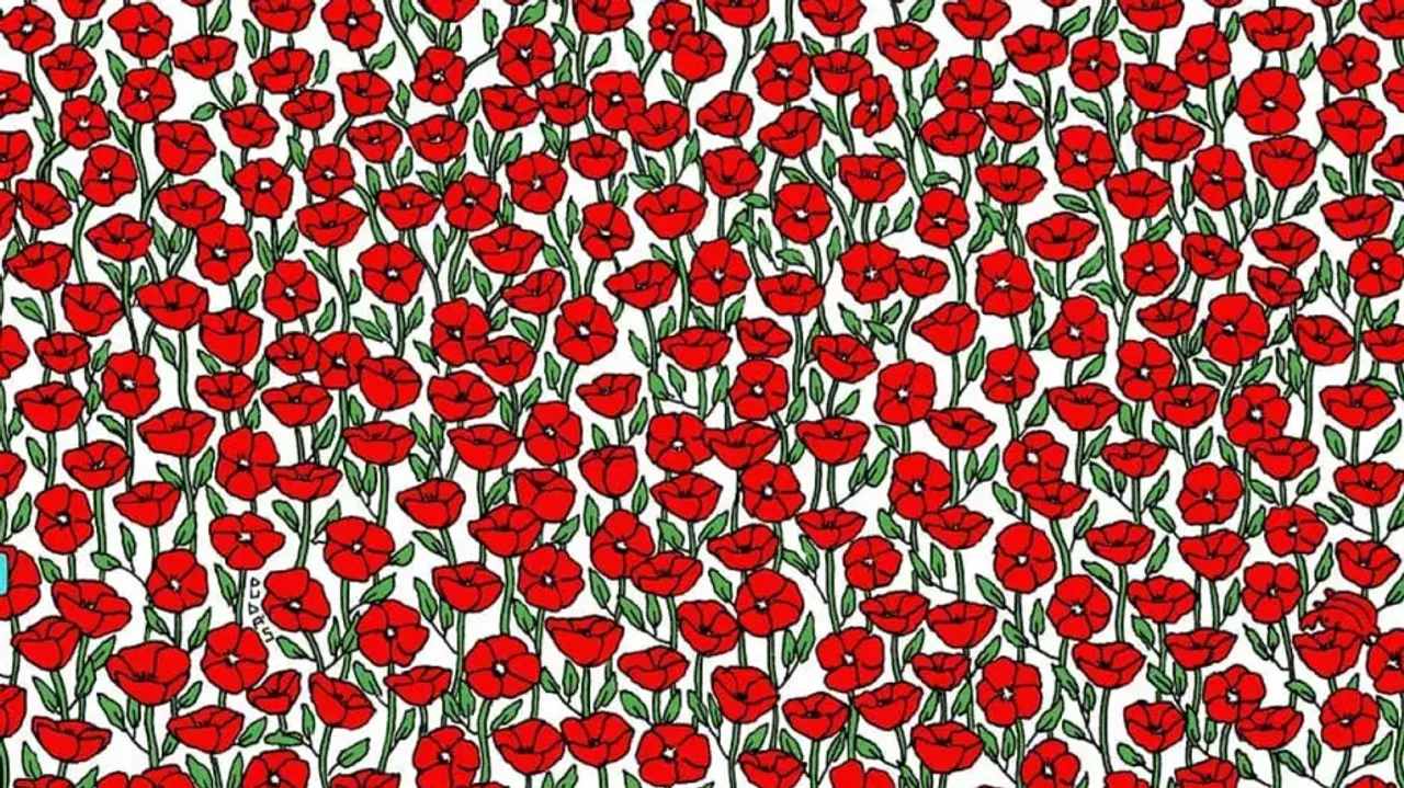 Can you spot the hidden crab in 7 seconds