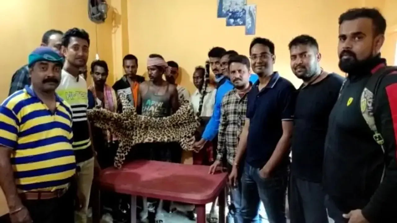 Leopard hide smuggling racket busted, 8 poachers arrested
