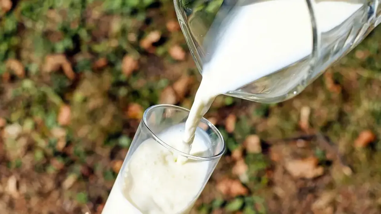 A2 or A1 milk