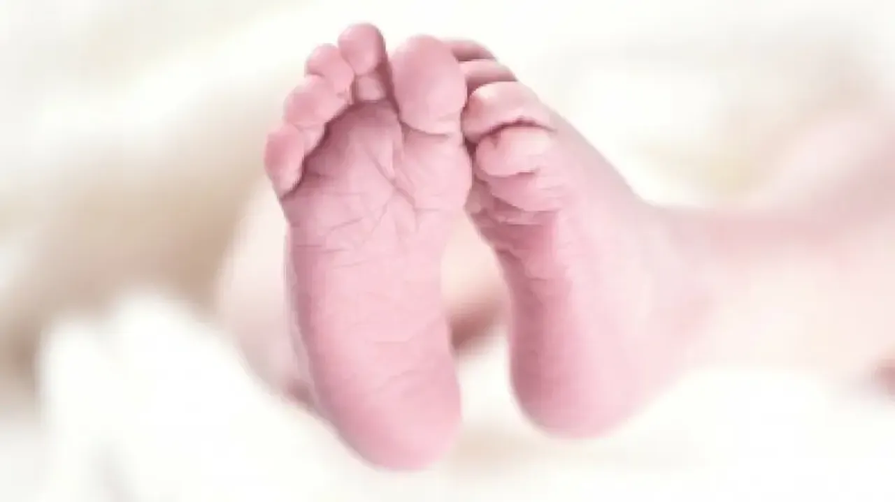 Gene-edited babies living happily with parents, says scientist who created them