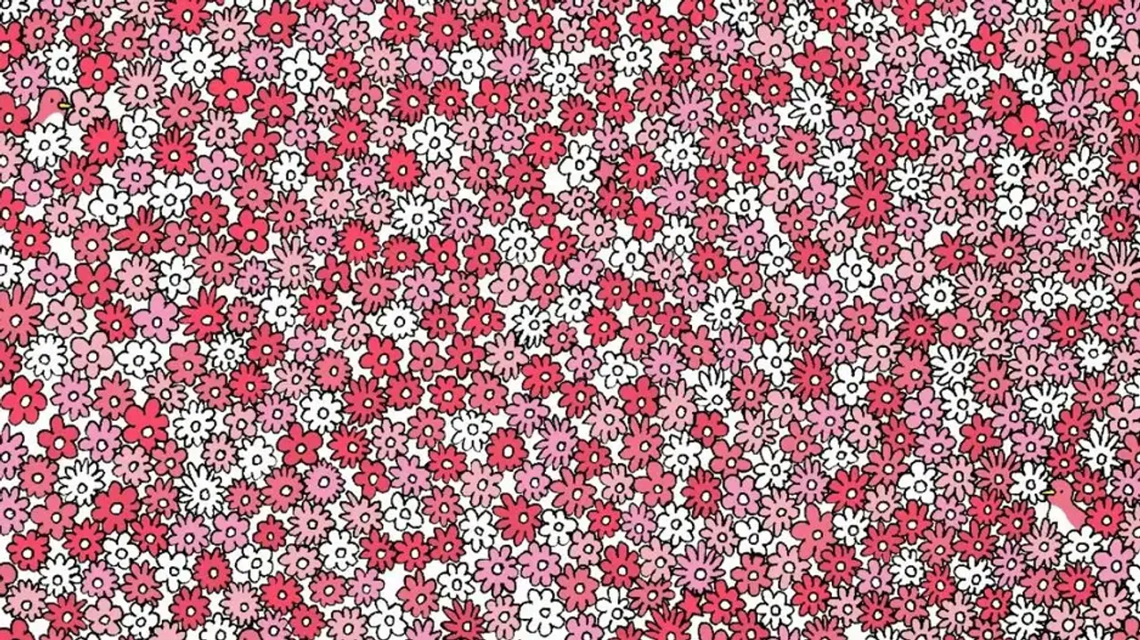 Spot 5 stars among flowers