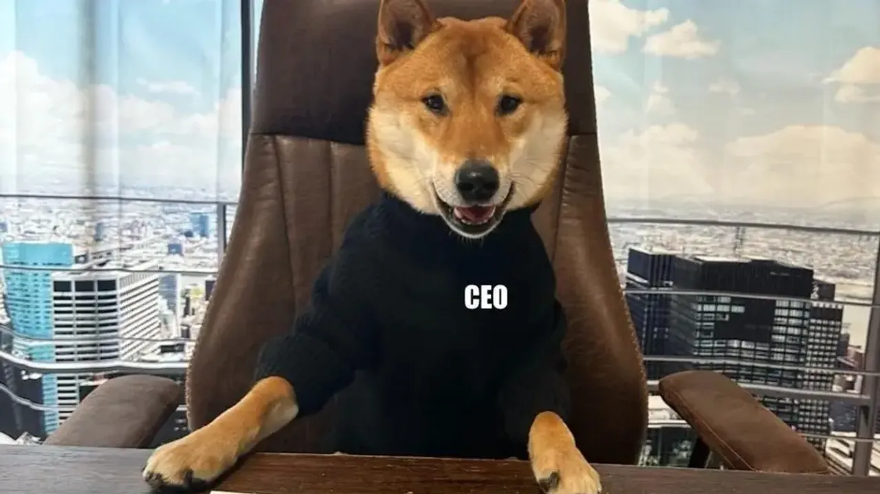 Elon Musk 'hires' his dog as new Twitter CEO