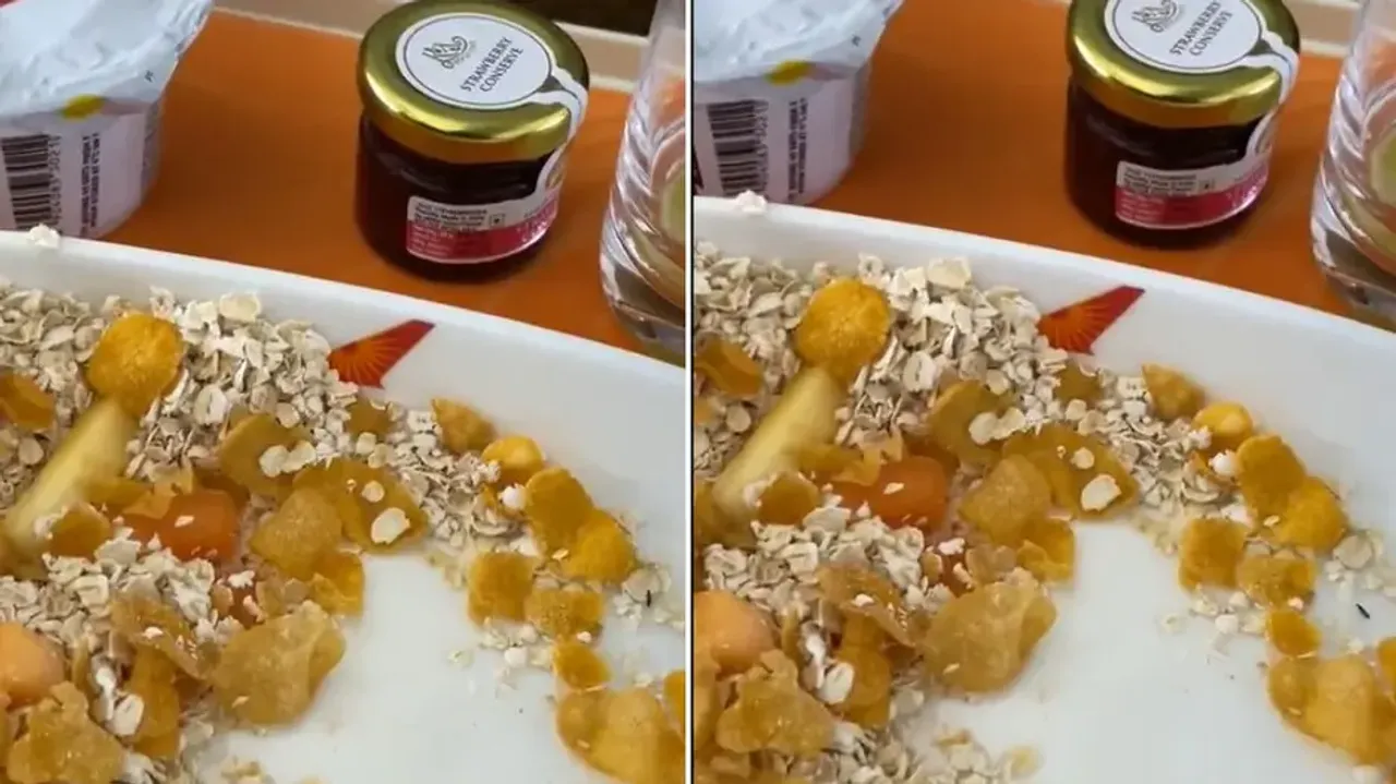 Air India business class passenger shares video of insect in flight meal