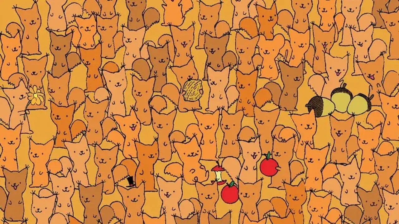 If you have hawk eyes you can easily spot the mouse among squirrels in 11 secs!!