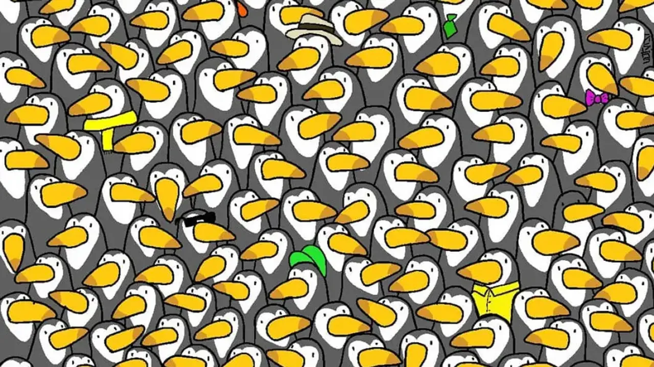 Can you find hidden Penguin among Toucans?