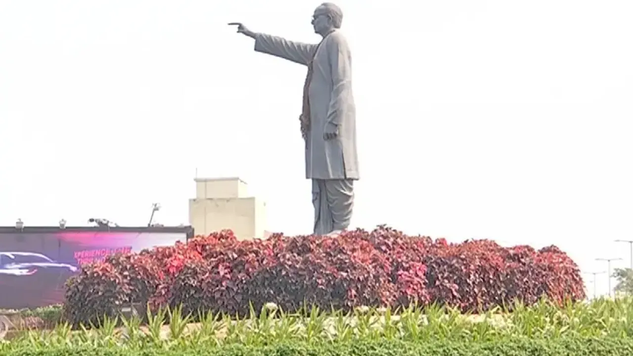 Iresine Plants Near Bhubaneswar Airport