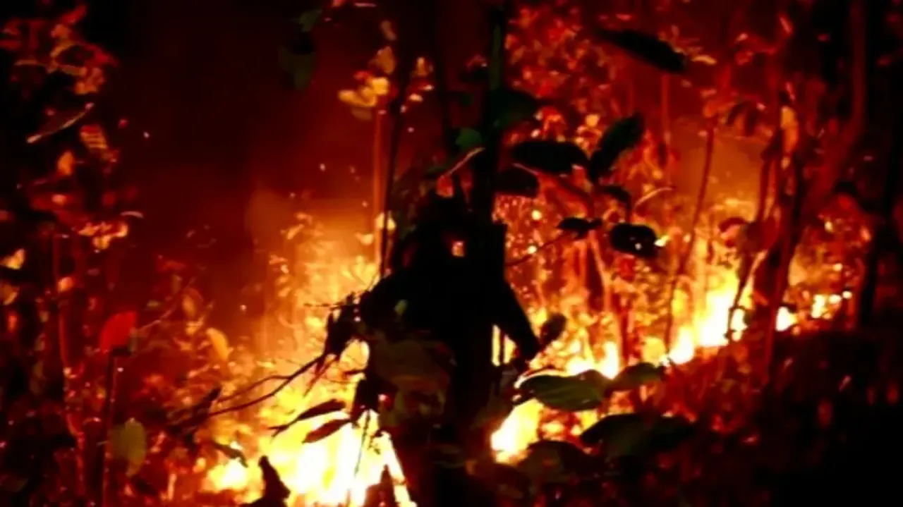 Forest Fire In Karanjia